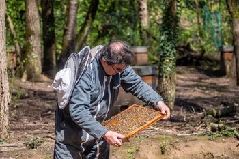 Initiez-vous à l'apiculture