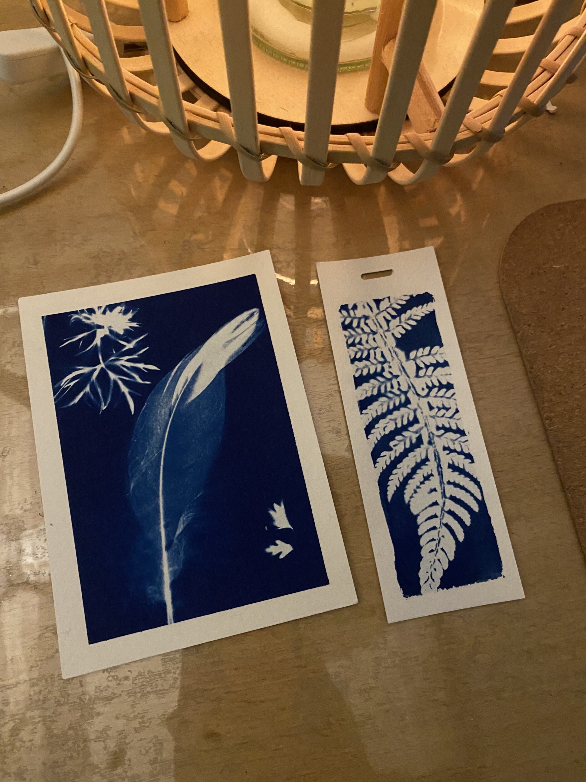 Maak je eigen vegetale afdruk in cyanotypie