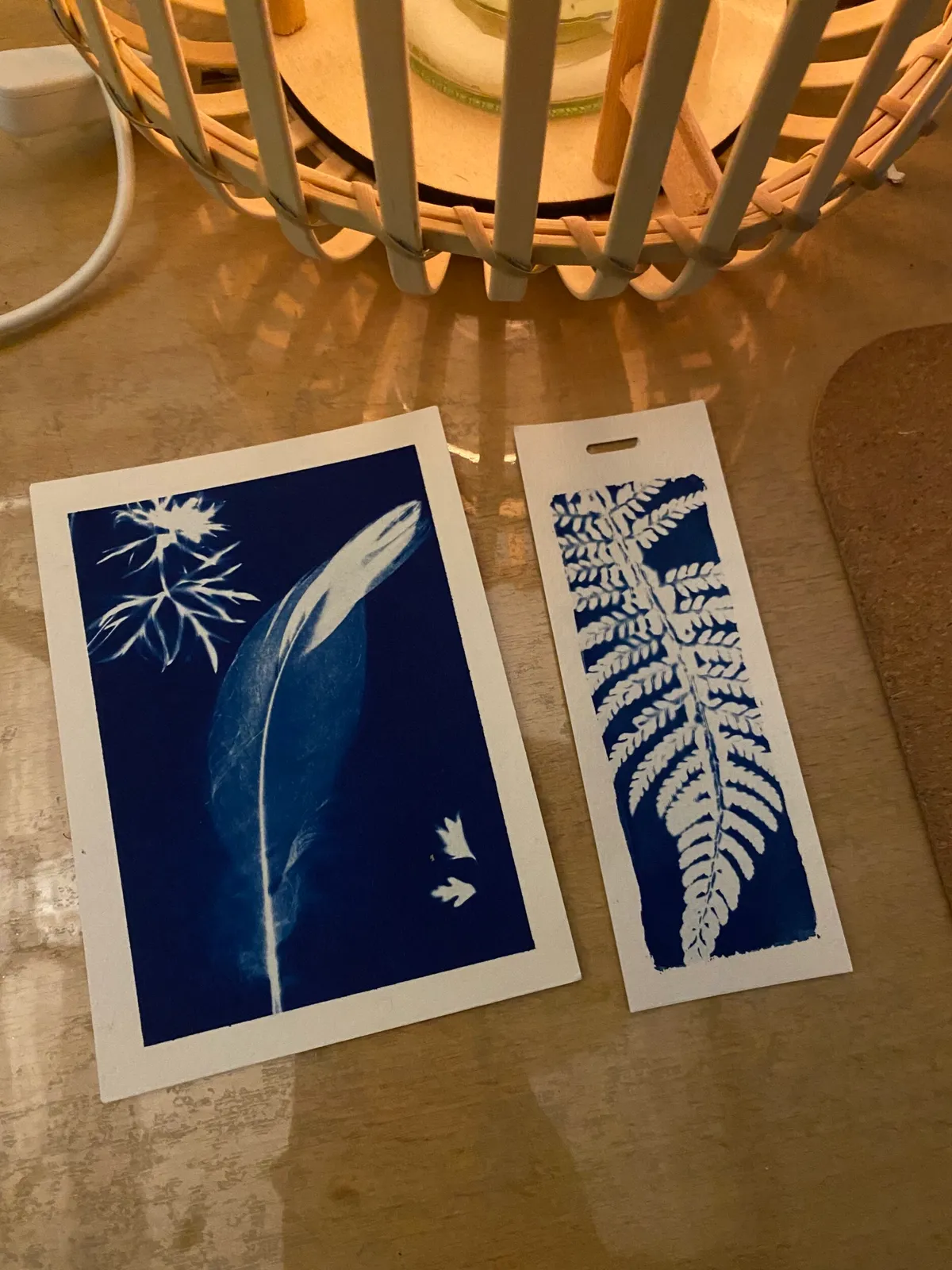 Make your own vegetal prints with cyanotype