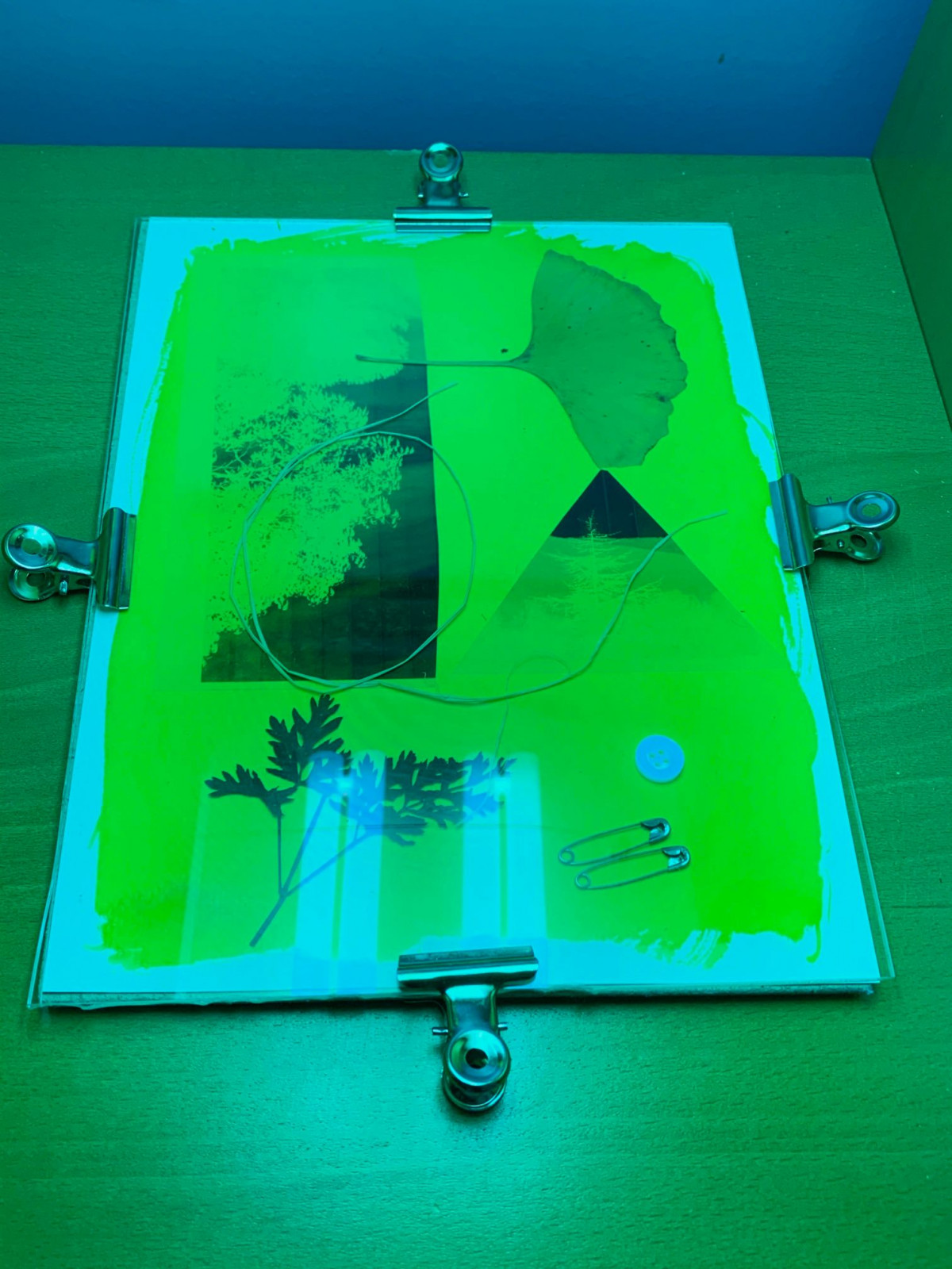 Réalisez des photos en cyanotype