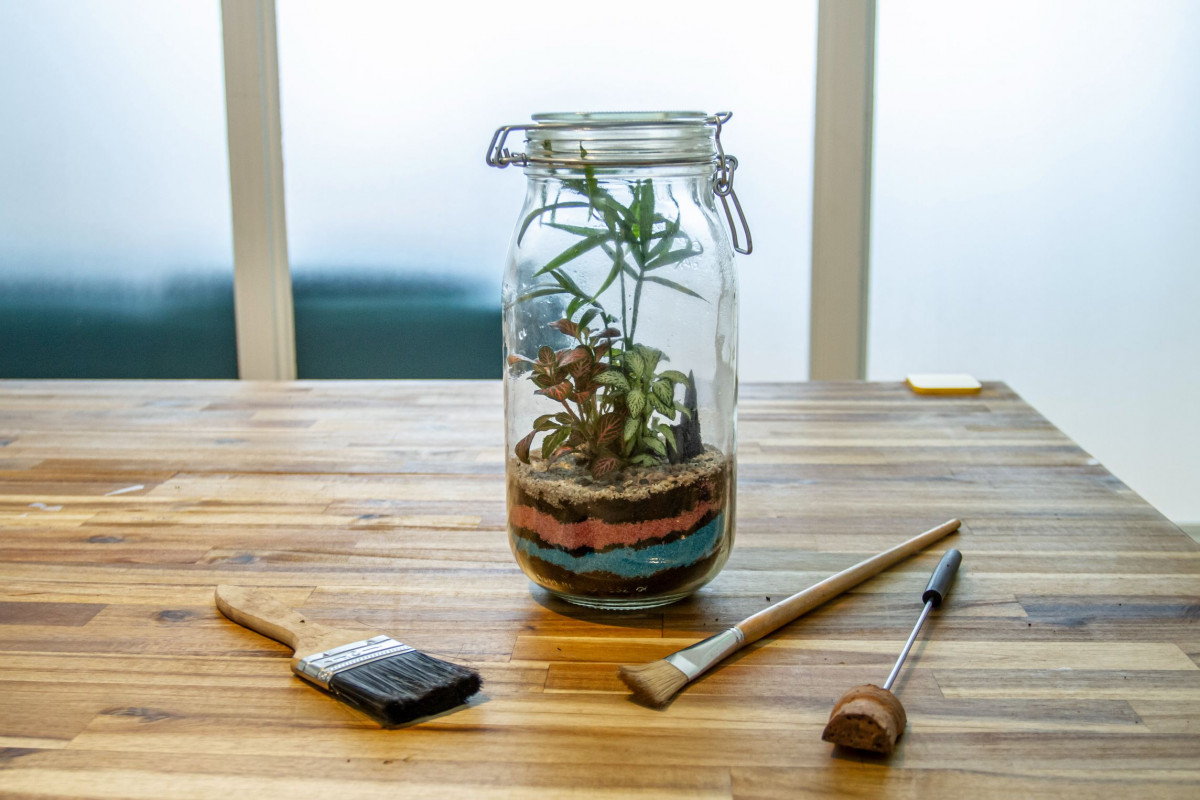 Composez votre petit terrarium