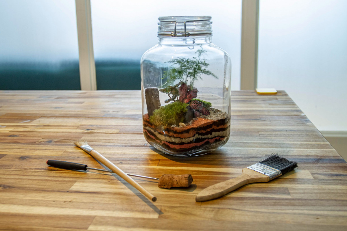 Composez votre terrarium