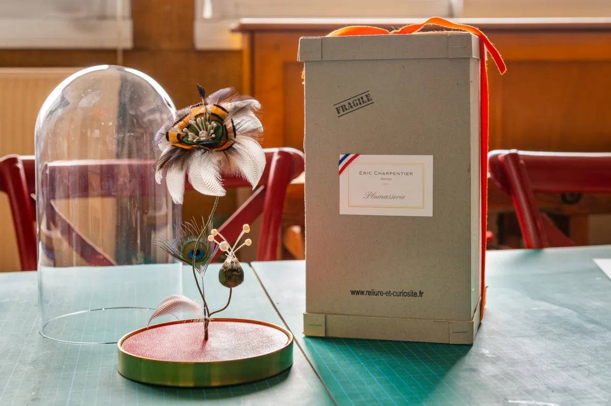 Réalisez votre fleur sous cloche en plumasserie