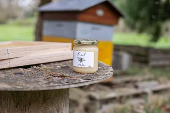 Découvrez l'apiculture