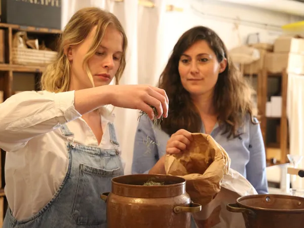 Wecandoo - Découvrez la distillation de plantes