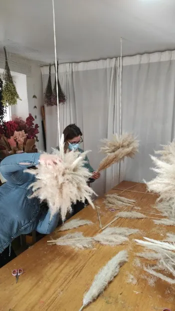 Réalisez votre nuage en herbe de la pampa