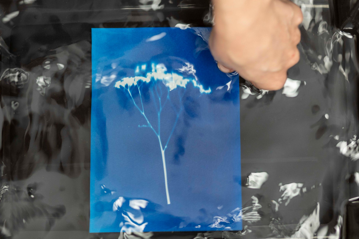 Réalisez vos impressions cyanotype