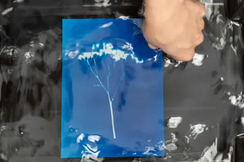 Réalisez vos impressions cyanotype