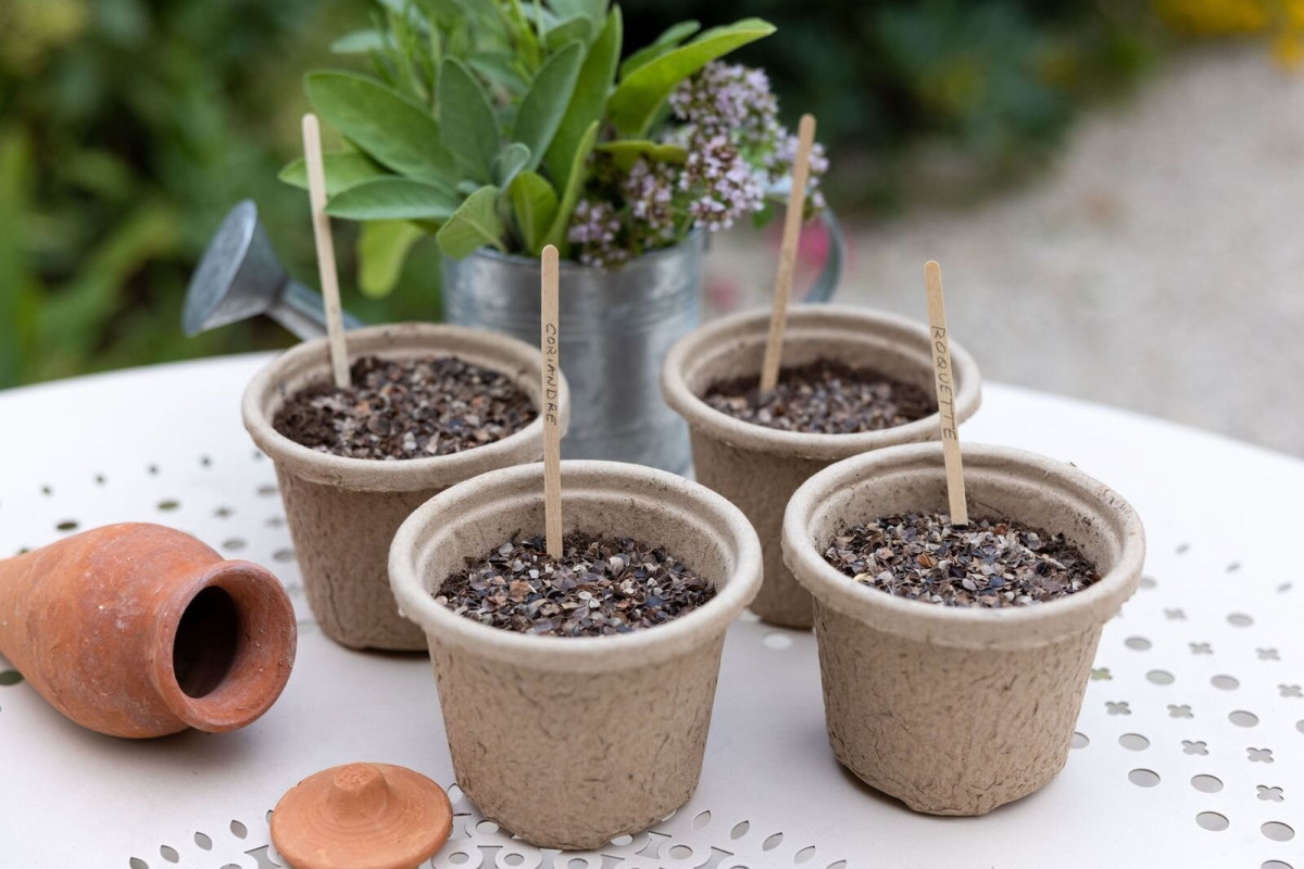 Semez  et entretenez votre potager de balcon