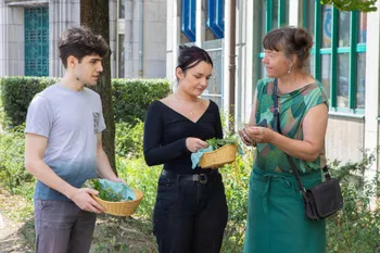Découvrez la botanique lors d'une balade en ville