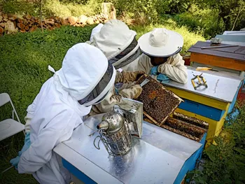 Wecandoo - Initiez-vous à l'apiculture