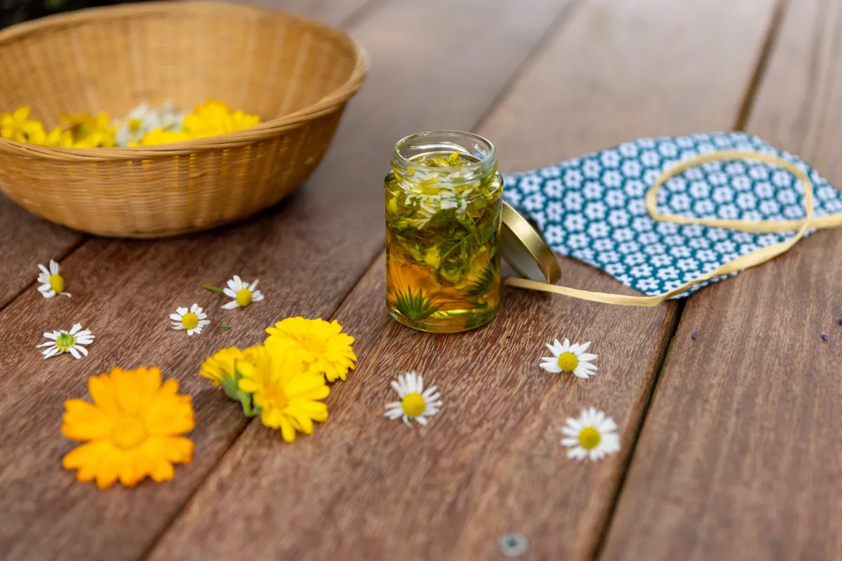 Fabriquez votre soin à base de plantes médicinales