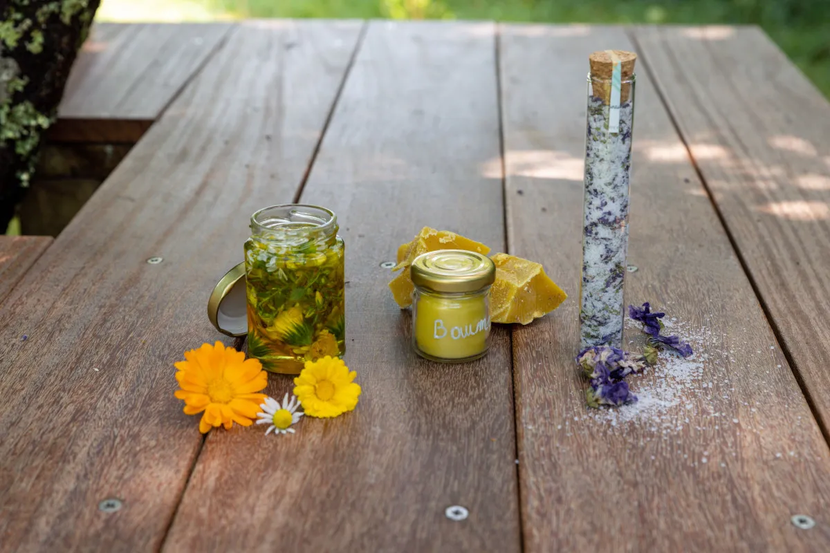 Découvrez l'herboristerie sur une demi-journée