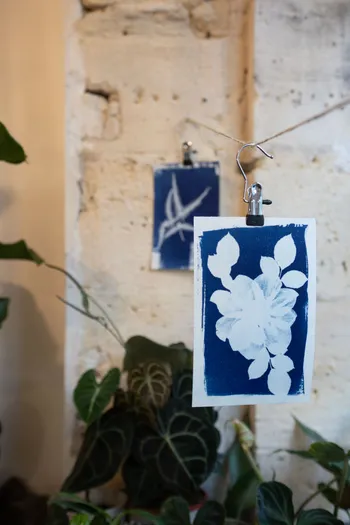 Initiez-vous à l'impression cyanotype
