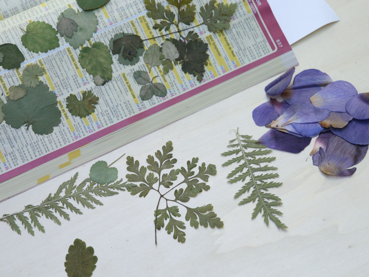 Créez votre tableau végétal en fleurs séchées