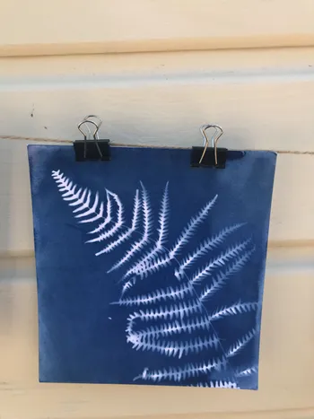 Créez vos œuvres en cyanotype