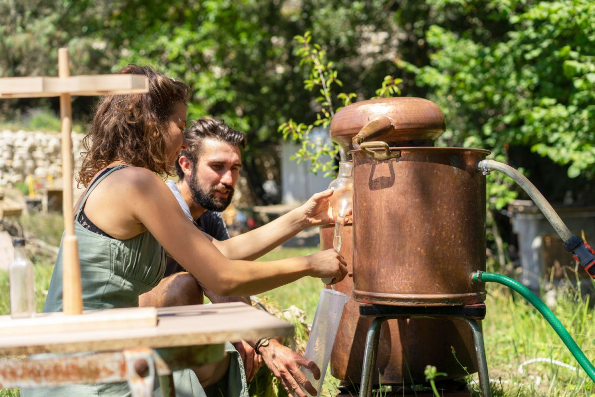 Fabriquez votre élixir aux plantes médicinales