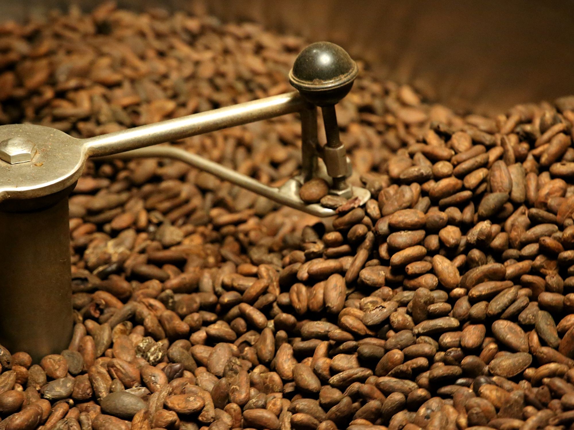 Initiez-vous à la chocolaterie bean-to-bar
