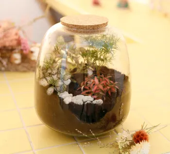 Réalisez votre terrarium