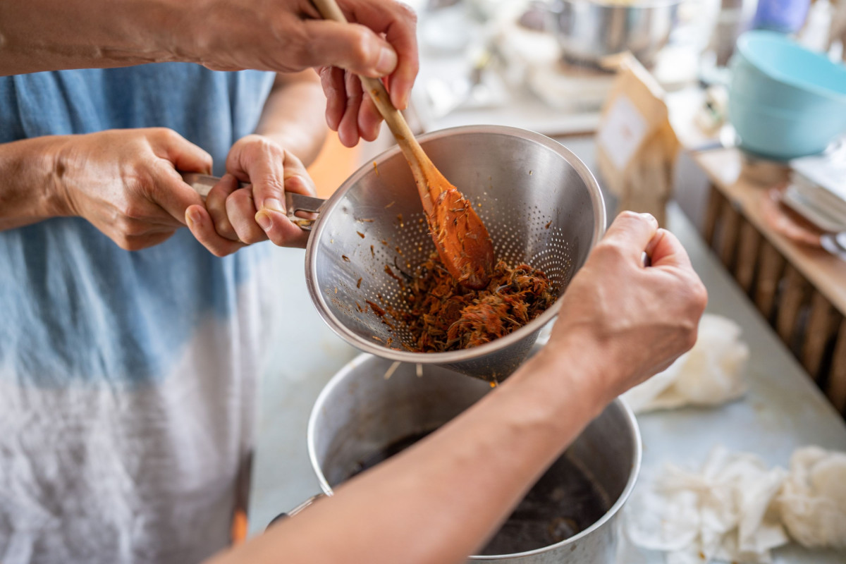 Initiez-vous à la teinture végétale au bouillon