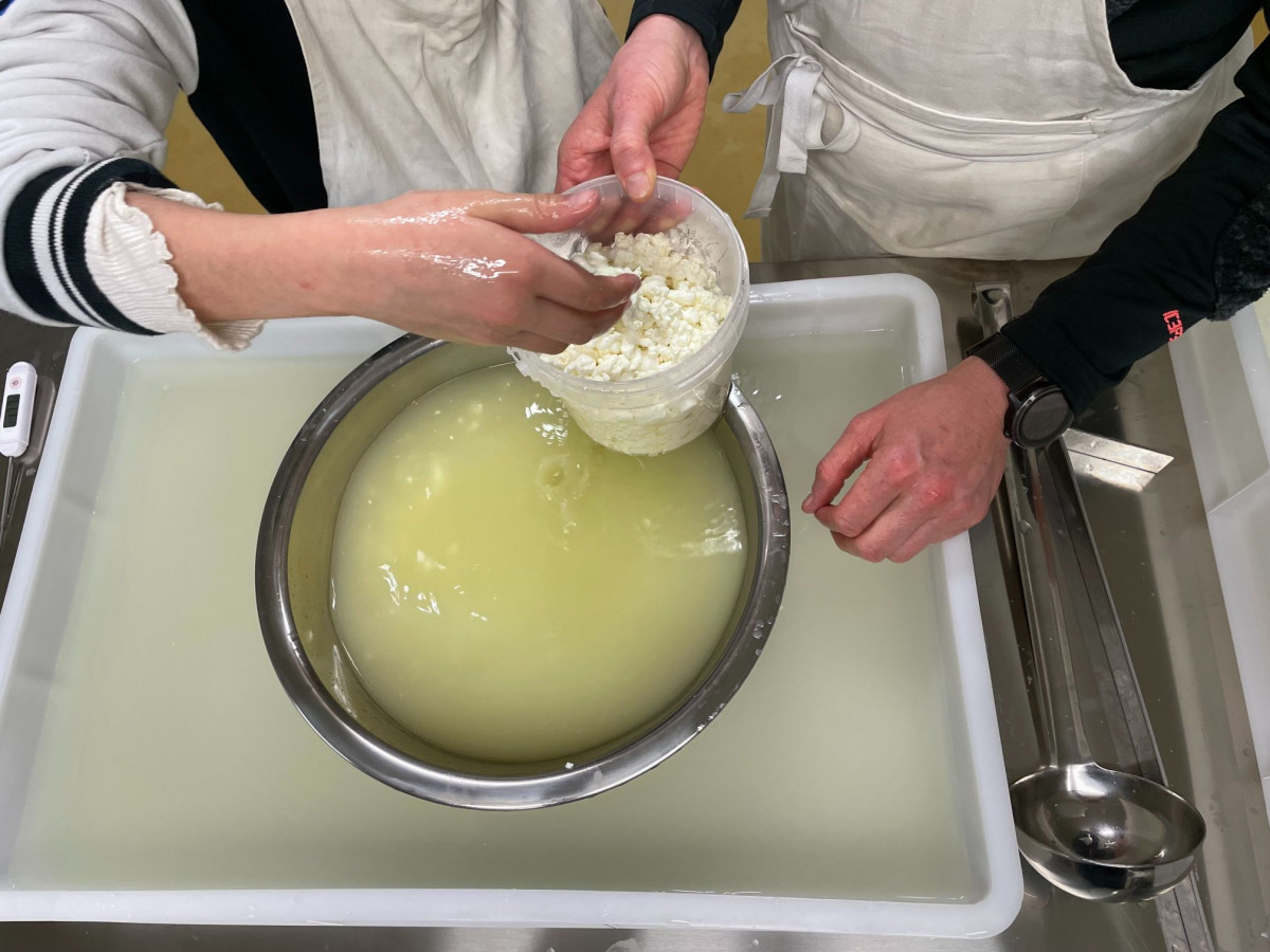 Fabriquez vos fromages à la ferme