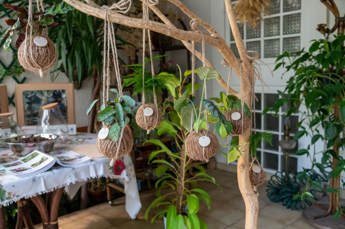 Composez votre kokedama