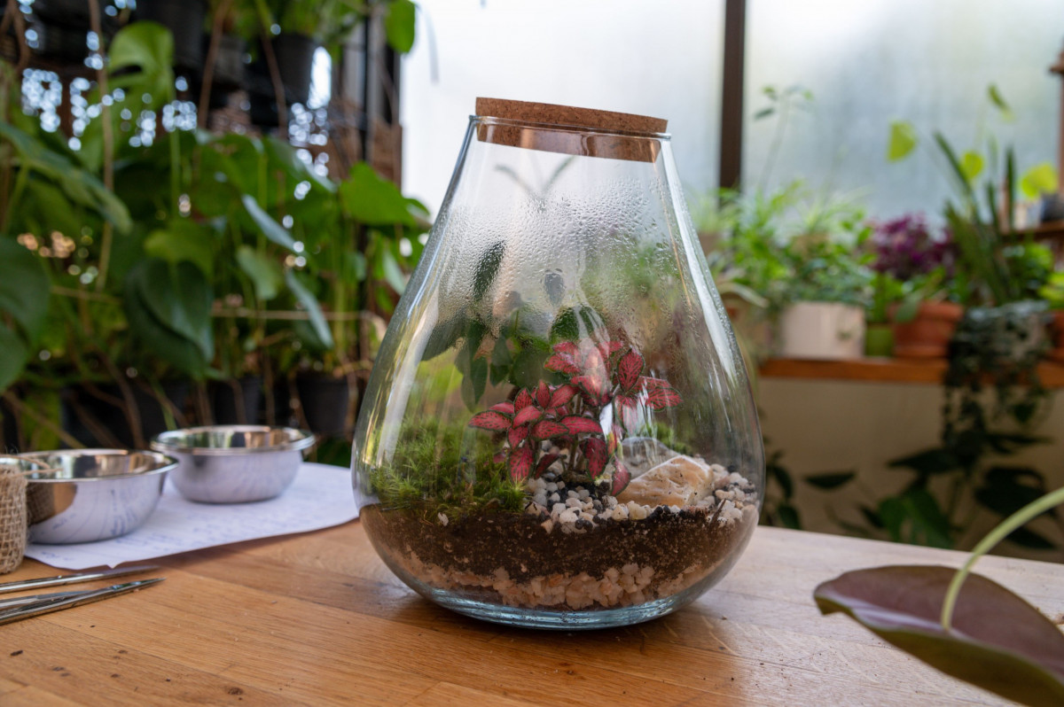 Fabriquez votre terrarium