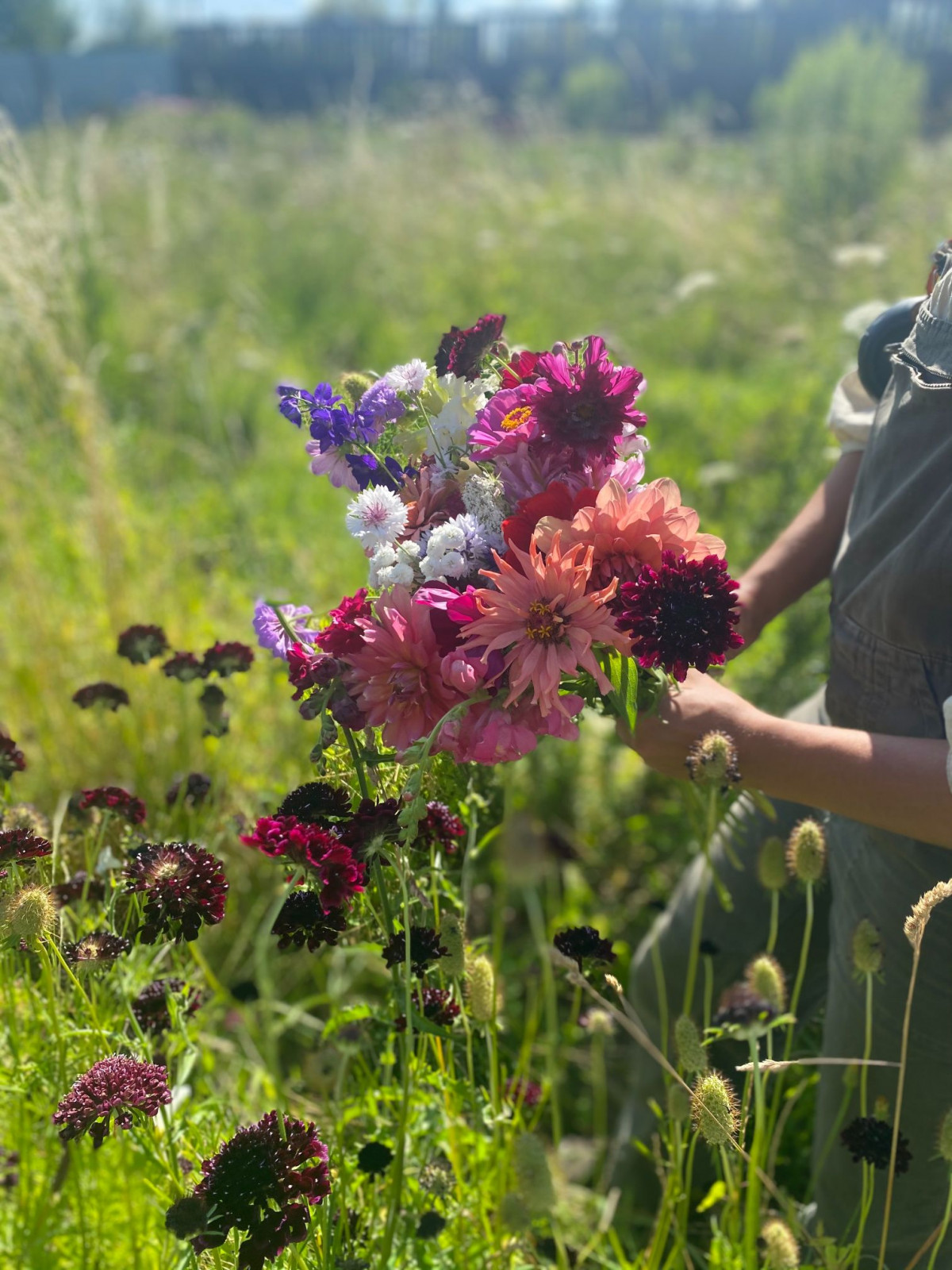 Créez votre bouquet de fleurs à la ferme florale
