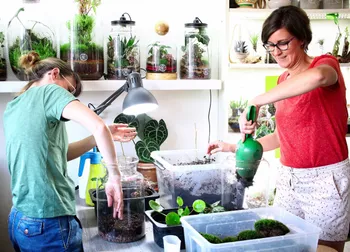 Réalisez votre terrarium