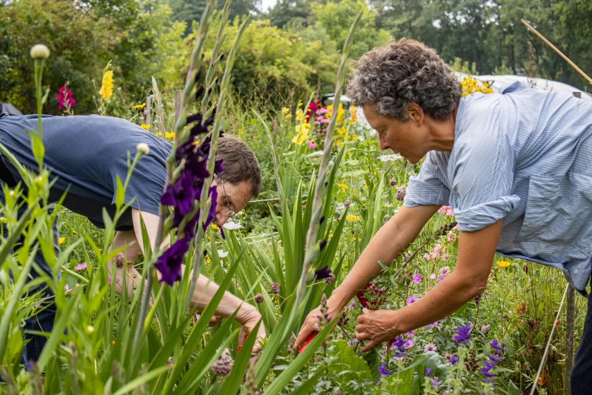 Experience a day of immersion with a horticulturalis