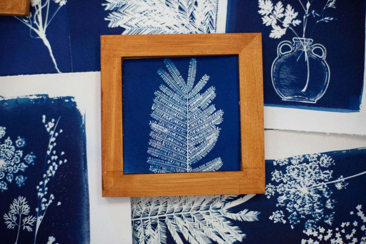 Initiez-vous au cyanotype sur papier