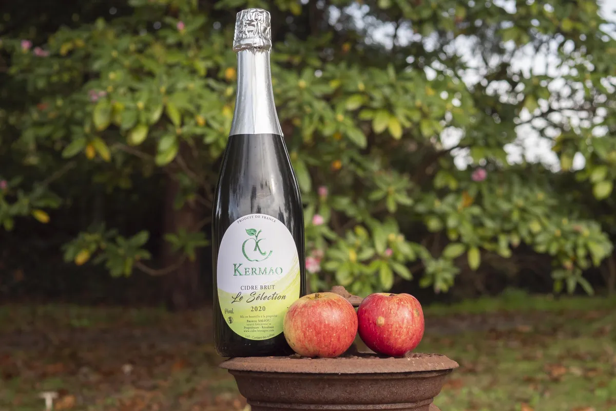 Dégustez du cidre artisanal