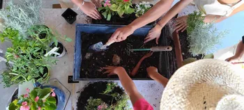 Réalise ta jardinière aromatique