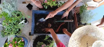 Créez votre jardinière aromatique