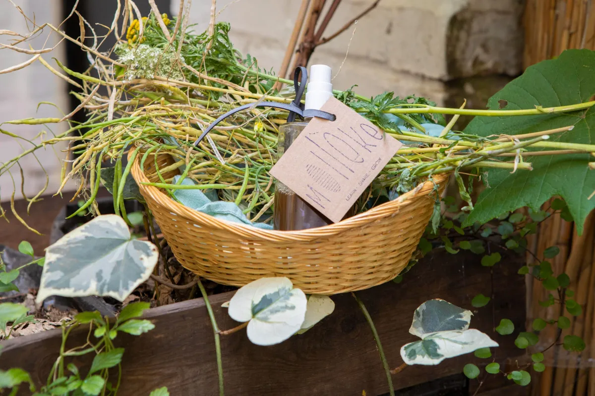 Create three herbal body care products