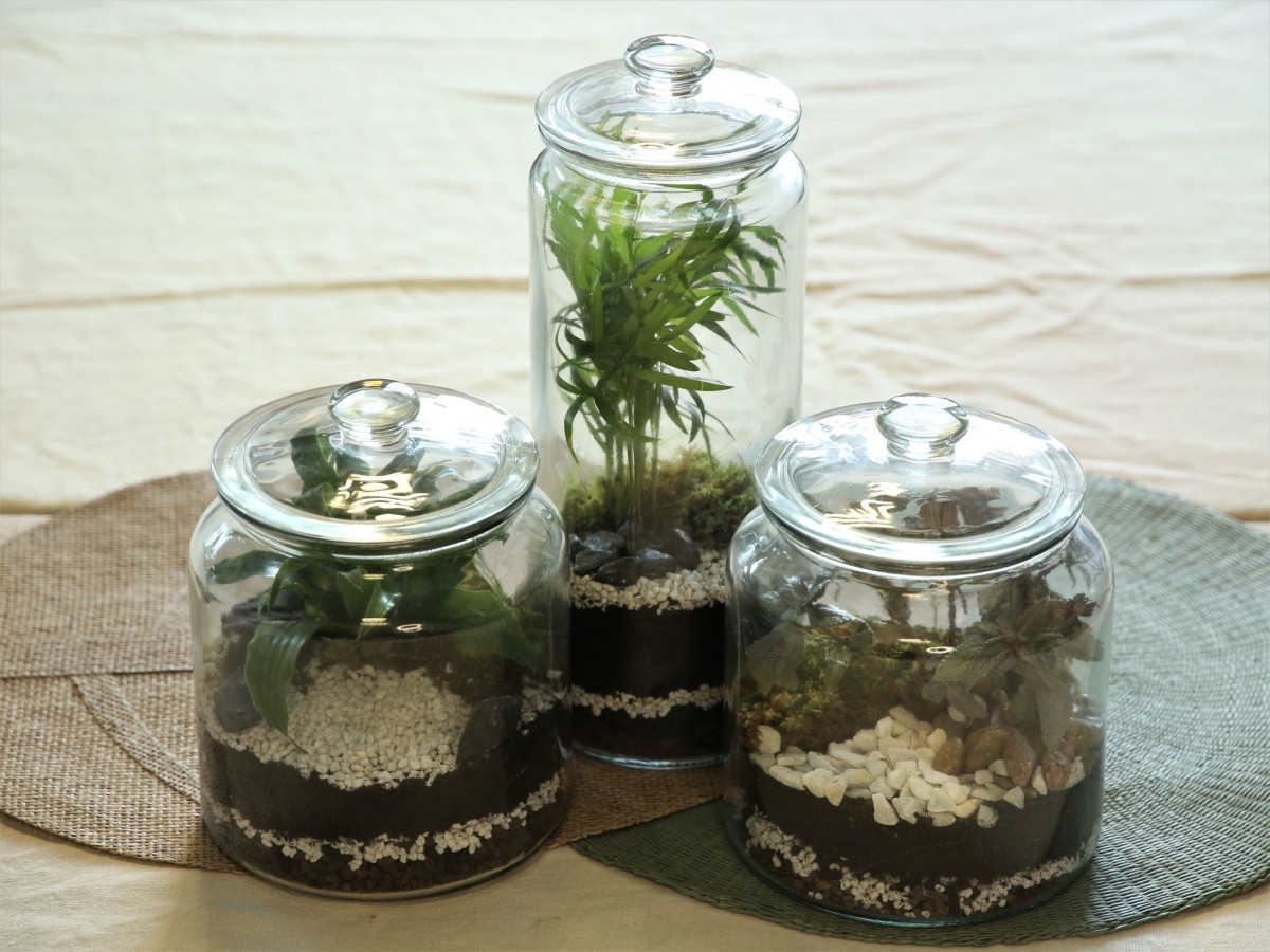 Réalisez votre terrarium