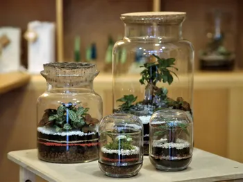 Réalisez votre terrarium