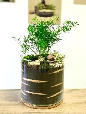 Wecandoo - Réalisez votre jardin zen d'intérieur
