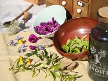Créez votre tisane