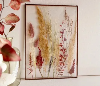 Créez votre herbier