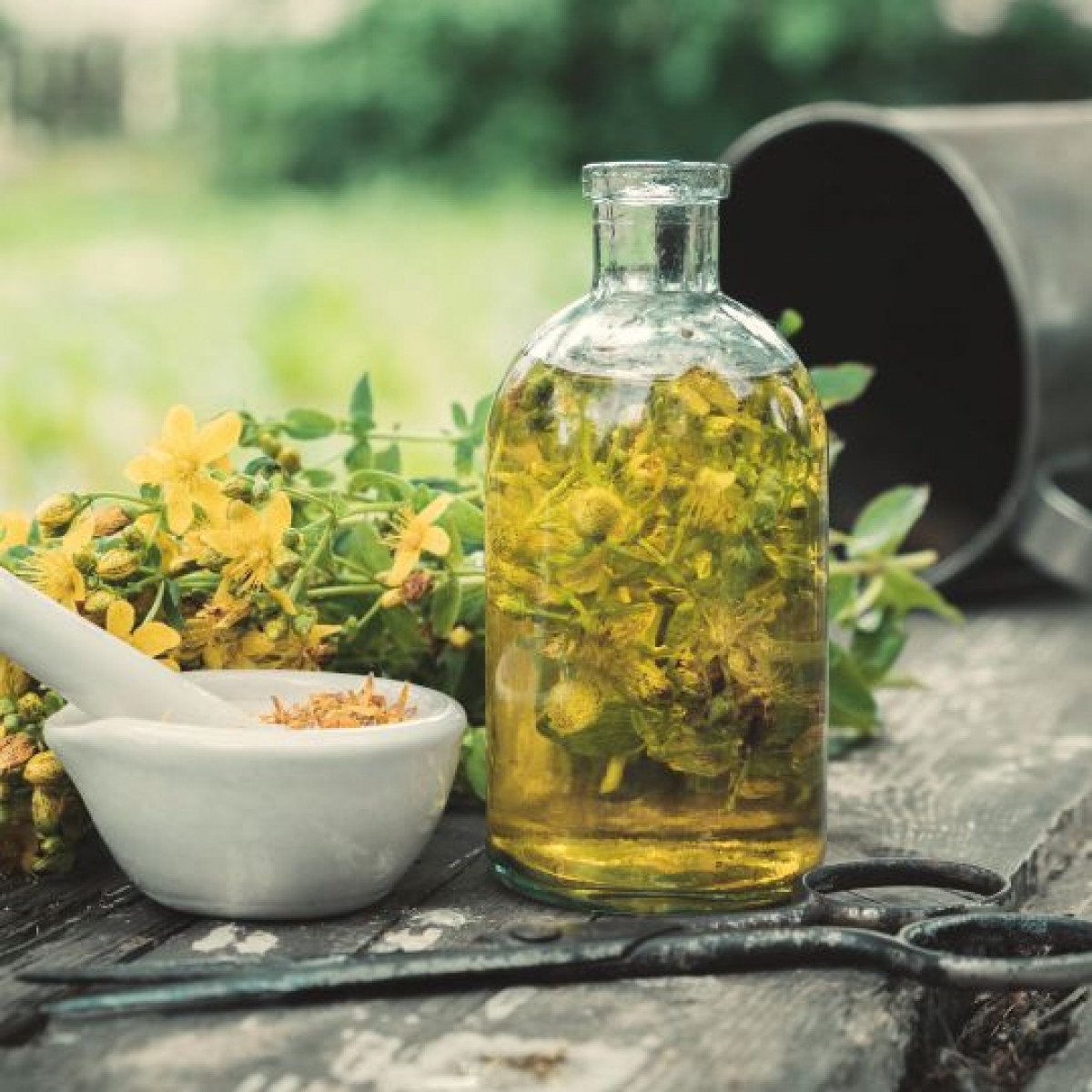 Concevez votre macérat et votre baume de plantes à Dijon