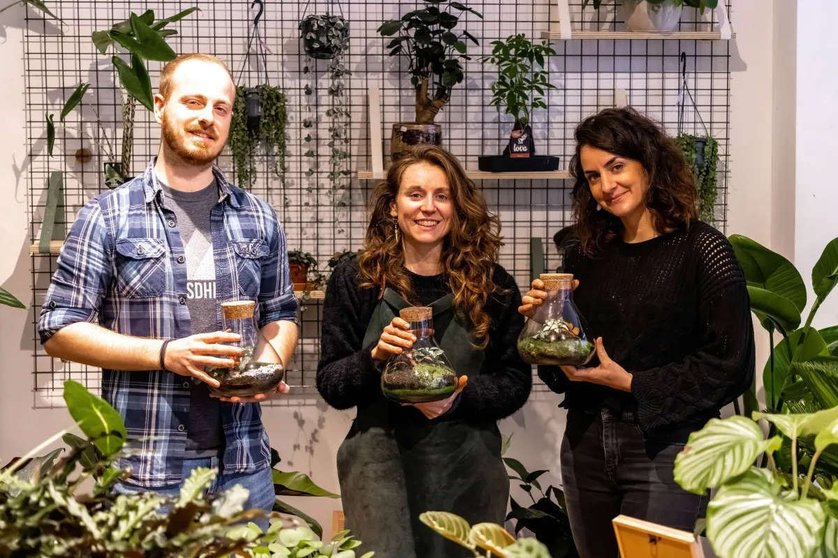 Create your own small terrarium