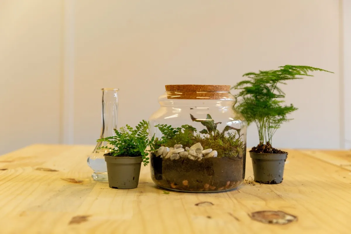 Réalisez votre petit terrarium