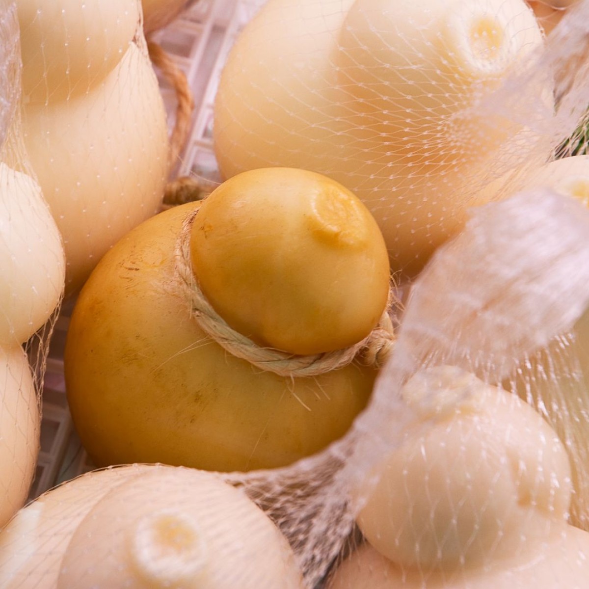 Fabriquez et dégustez vos scamorzas artisanales