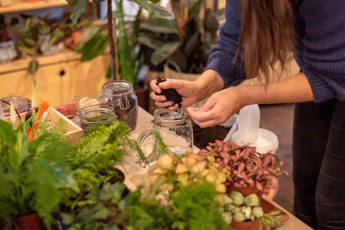 Composez votre terrarium