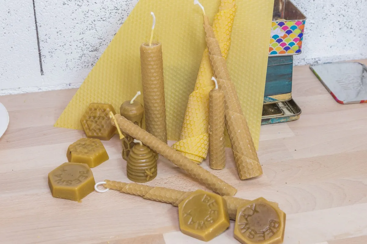 Plongez dans le monde de l'apiculture