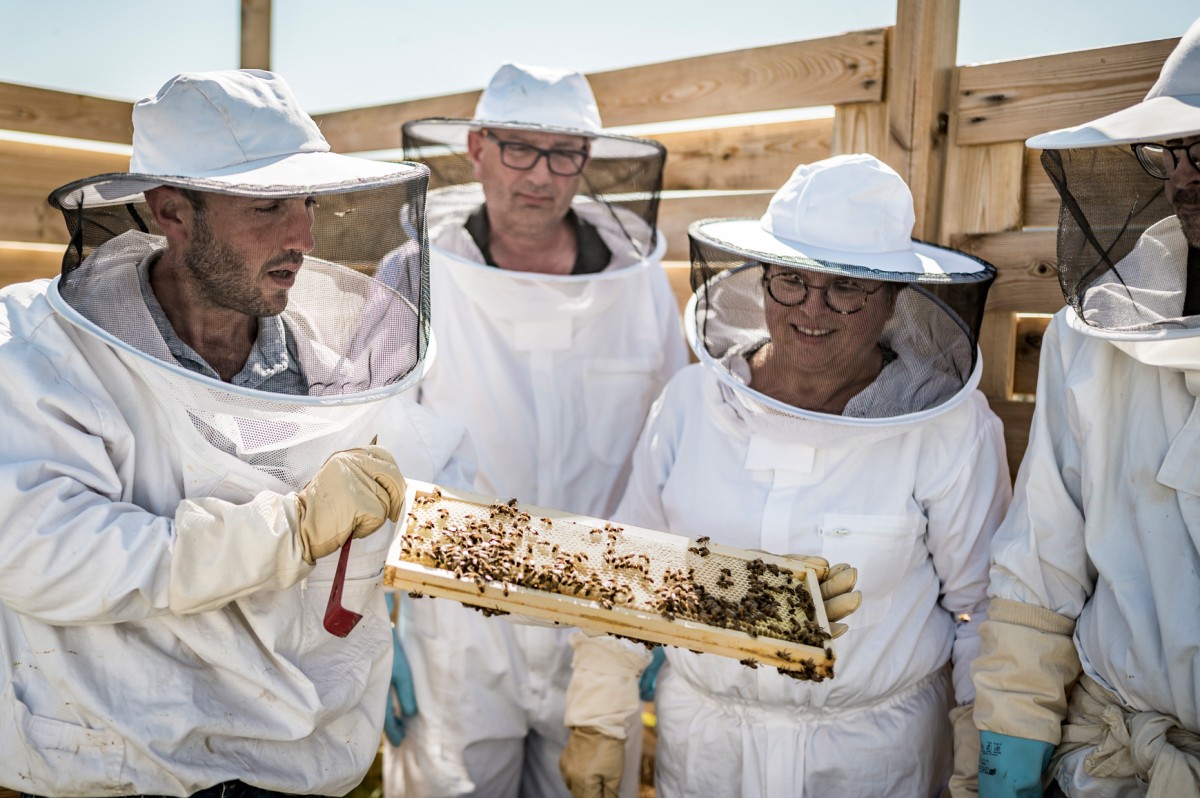 Découvrez l'apiculture sur une journée