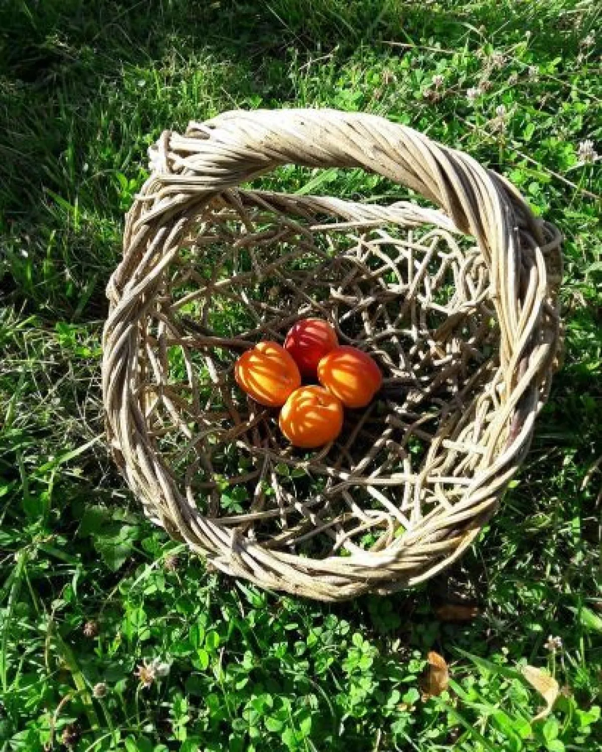 Réalisez votre panier en vannerie aléatoire