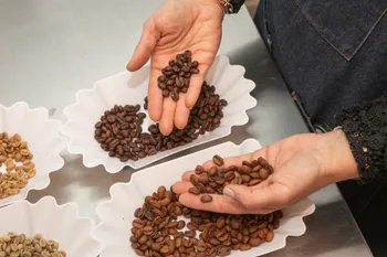 Dégustez du café dans une brûlerie artisanale