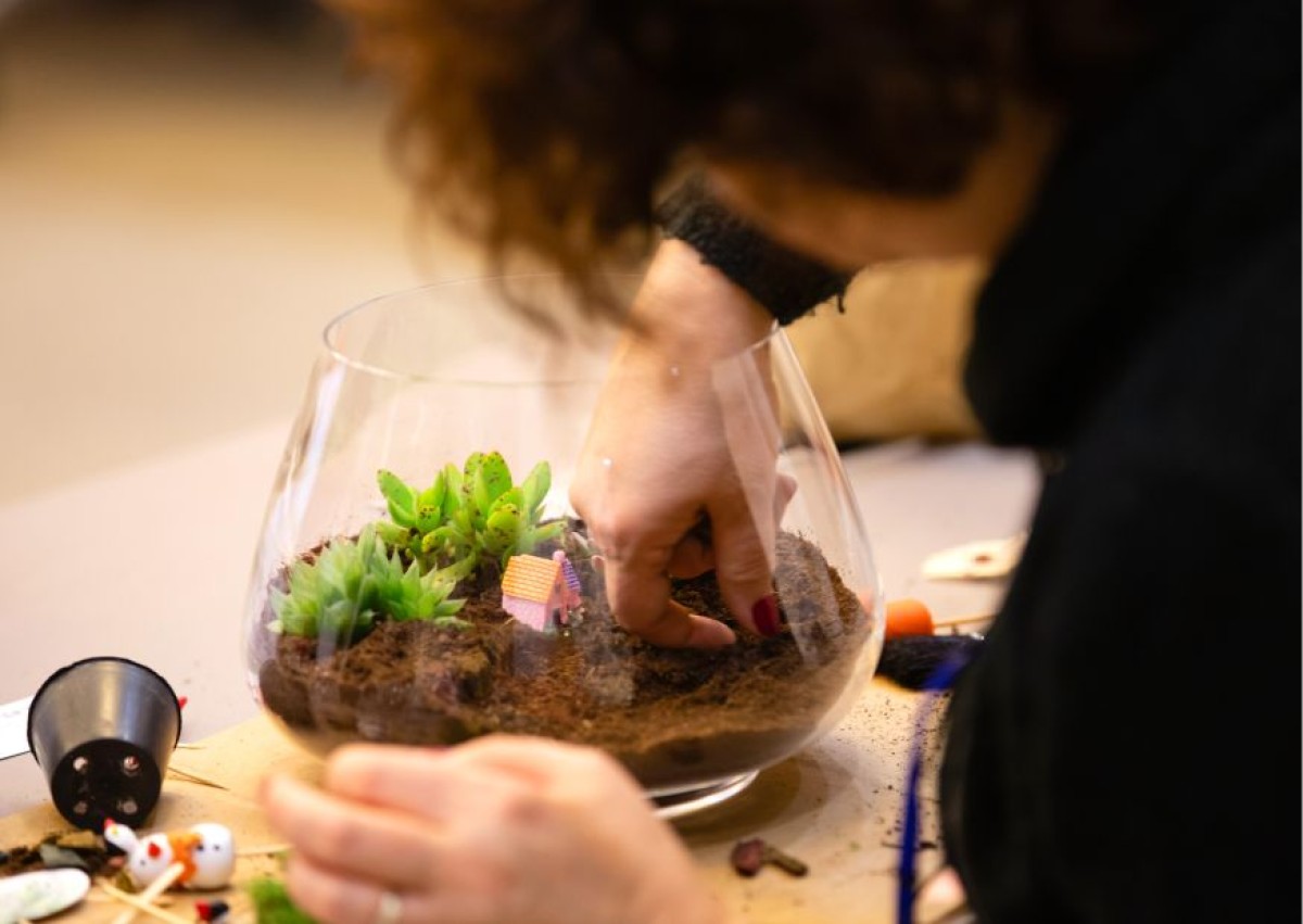 Créez votre grand terrarium